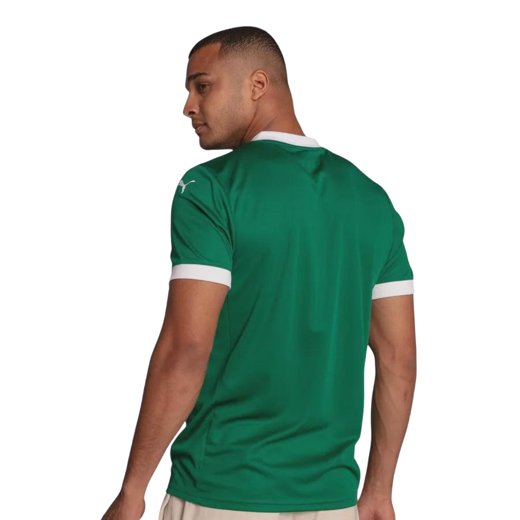 CAMISA PALMEIRAS 2025 TORCEDOR MASCULINA